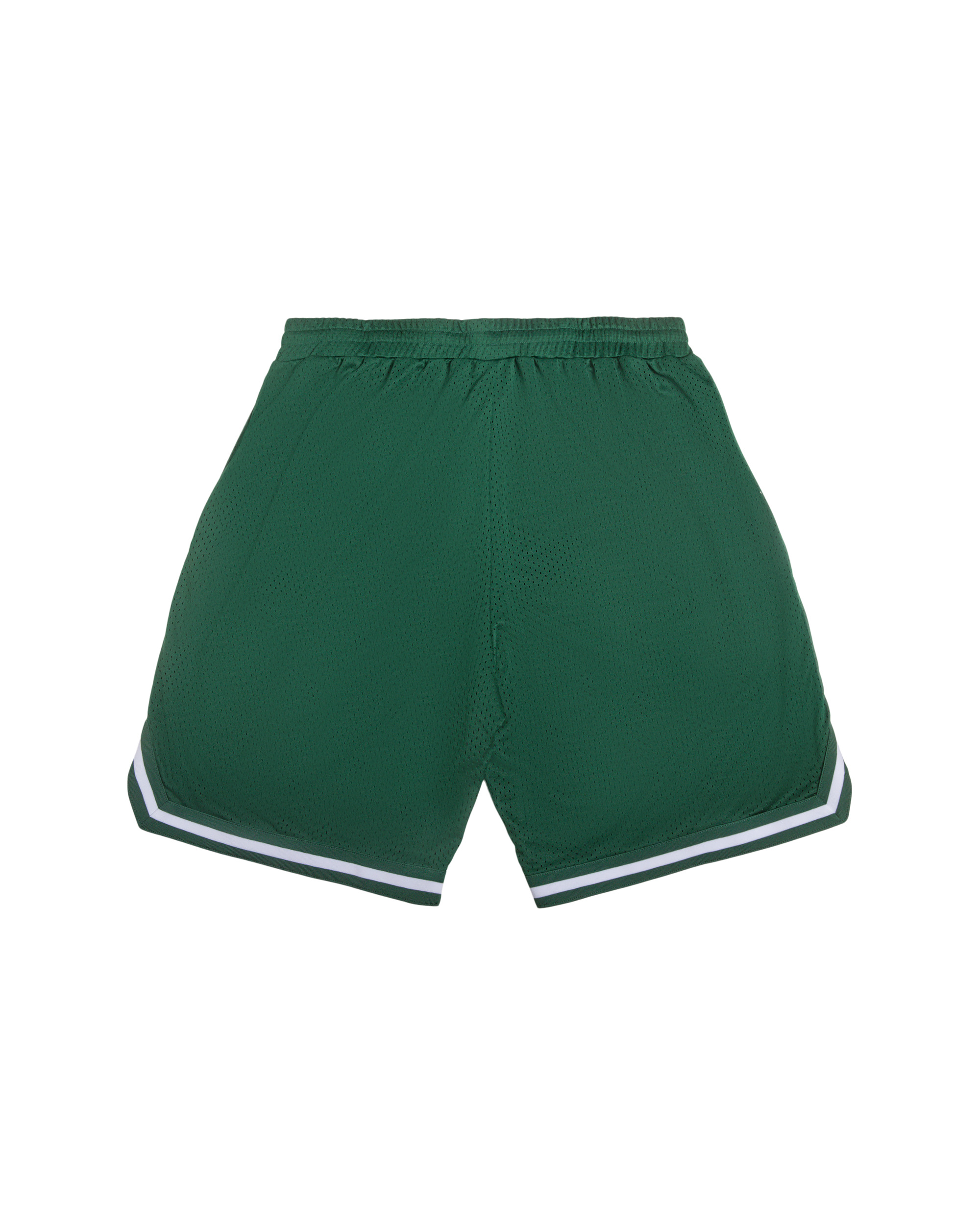 TEAM IC RUNNING DOG BASKETBALL SHORT - 2