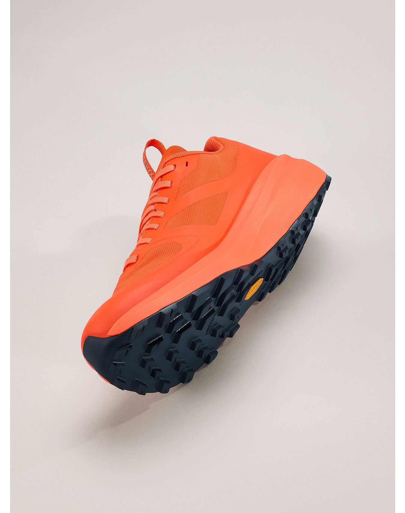 Norvan LD 3 GTX Shoe - 5