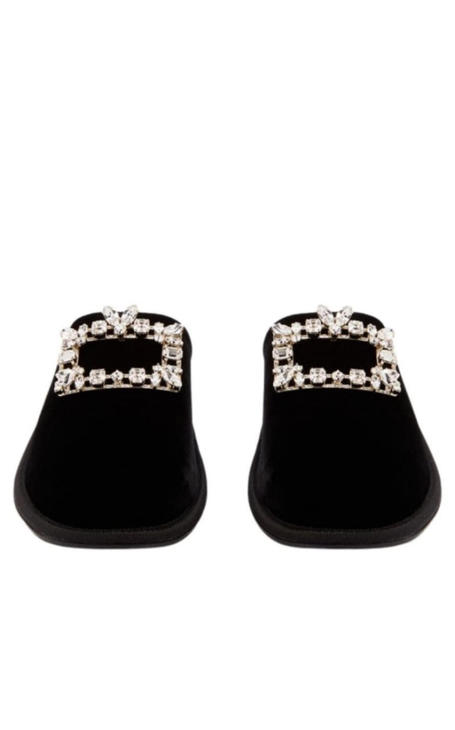 Hotel Vivier Crystal-buckle Velvet Slippers - 5