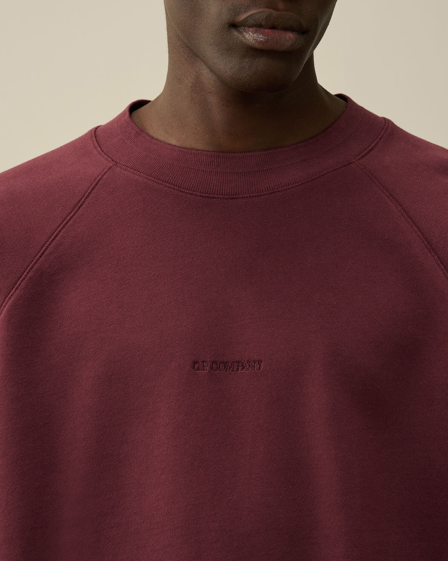 Brushed and Emerized Diagonal Fleece Logo Crew Neck Sweatshirt - 4