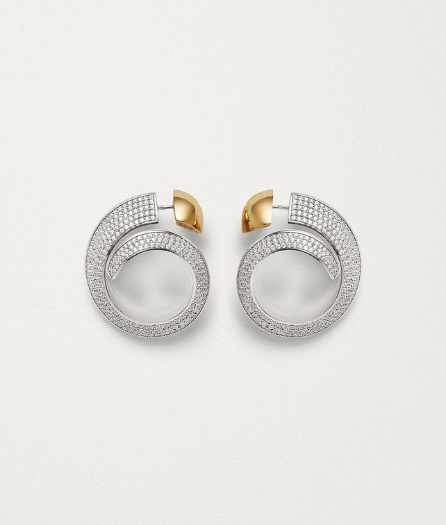 Earrings - 1