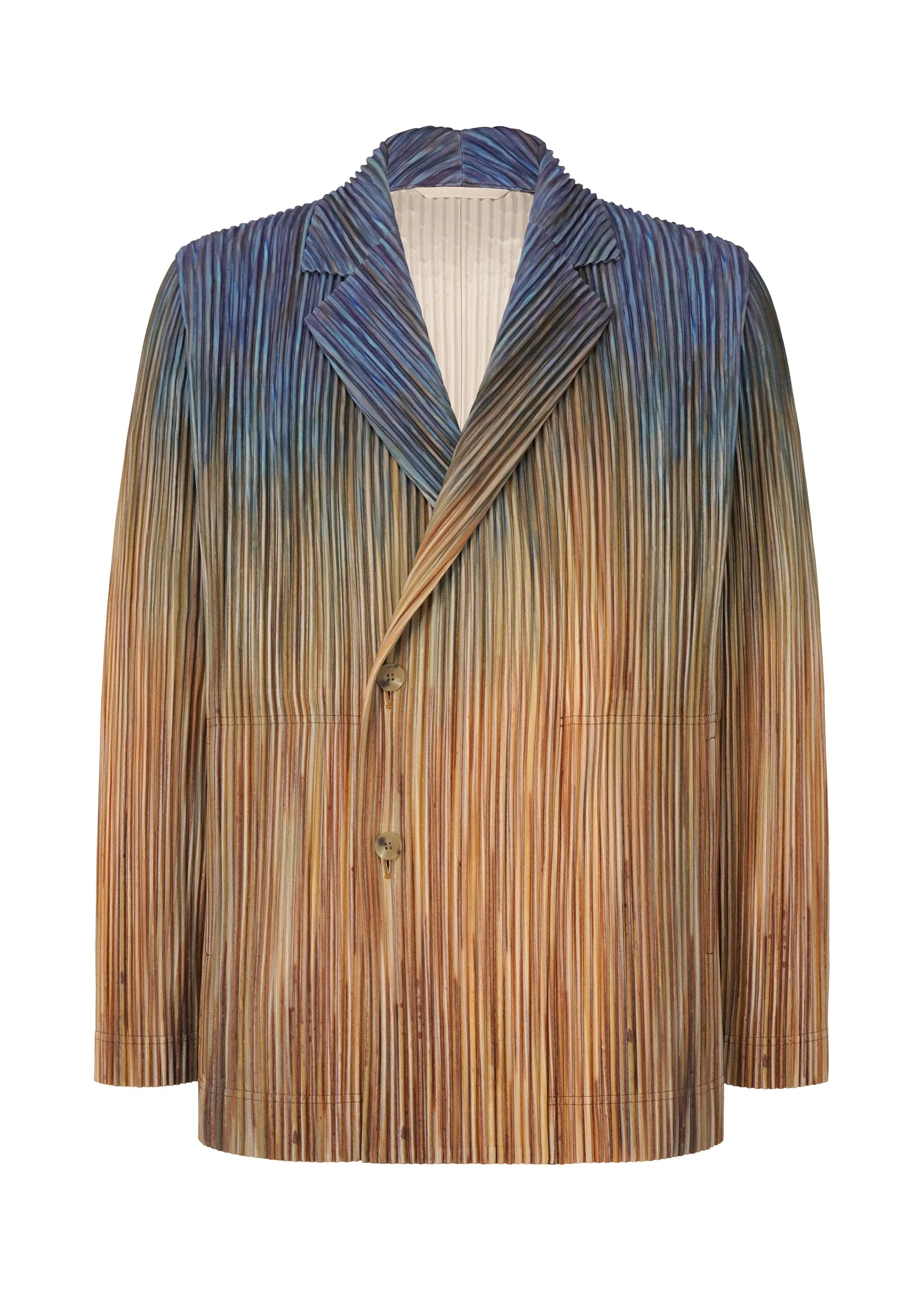 PAINT BRUSH CLOSE-UP - 1