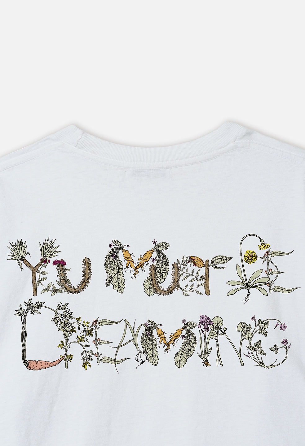 GARDEN RIVIERA CROPPED TEE - 2