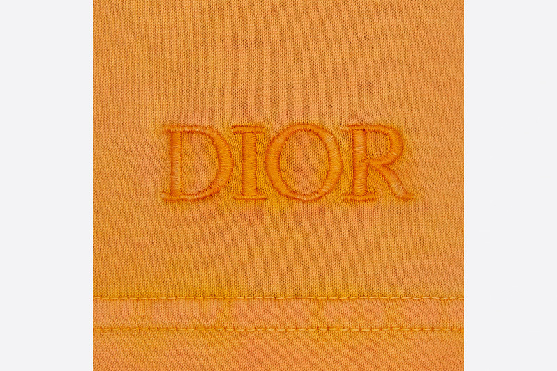 Oversized DIOR AND PETER DOIG T-Shirt 4