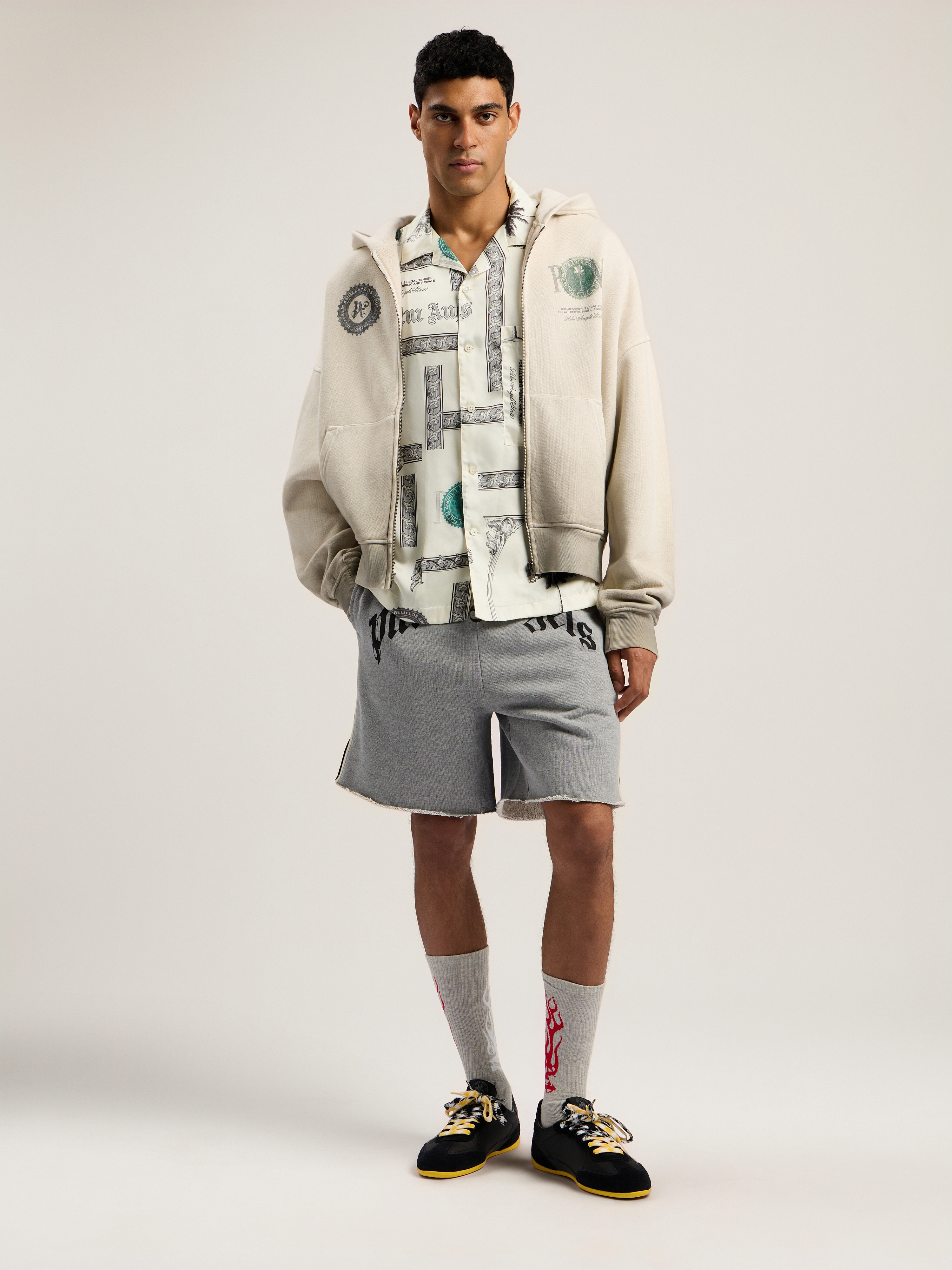 Dollar Zipped Loose Hoodie - 2