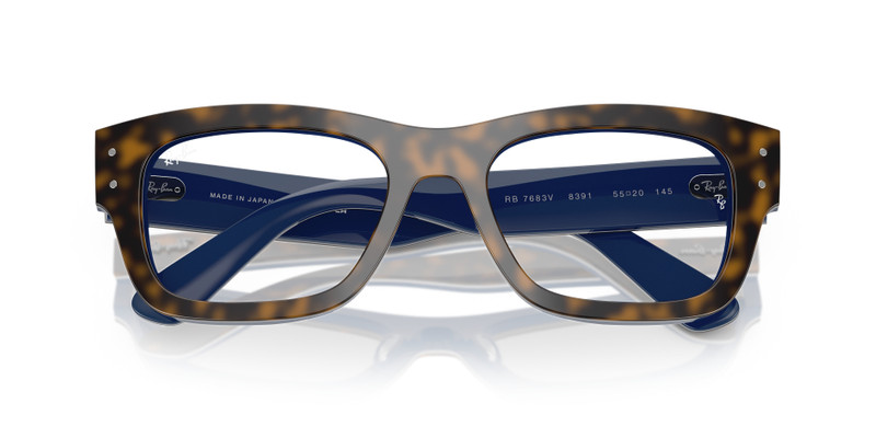 Ray-Ban JOSEPH OPTICS outlook