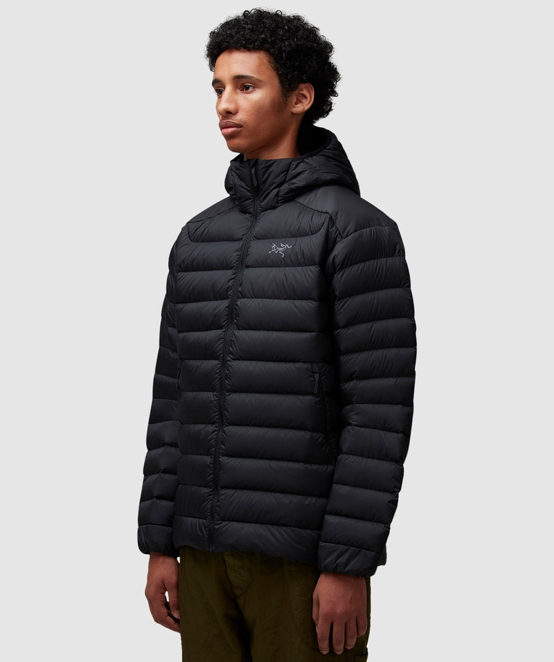 Arc'teryx Cerium hooded jacket outlook