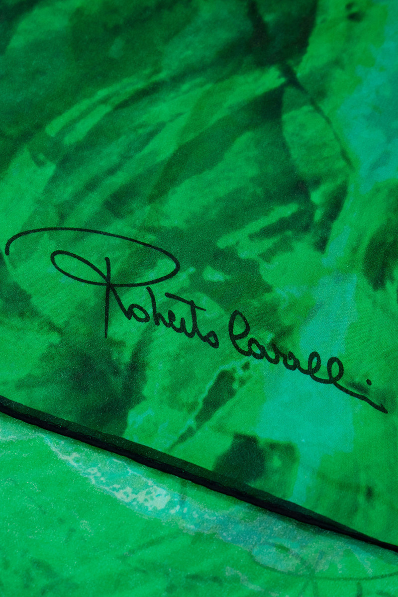 Roberto Cavalli Silk Scarf with Malachite Print outlook