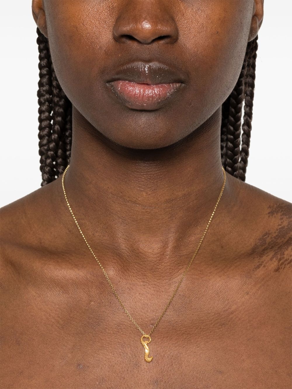Elusive Dreamer necklace - 2