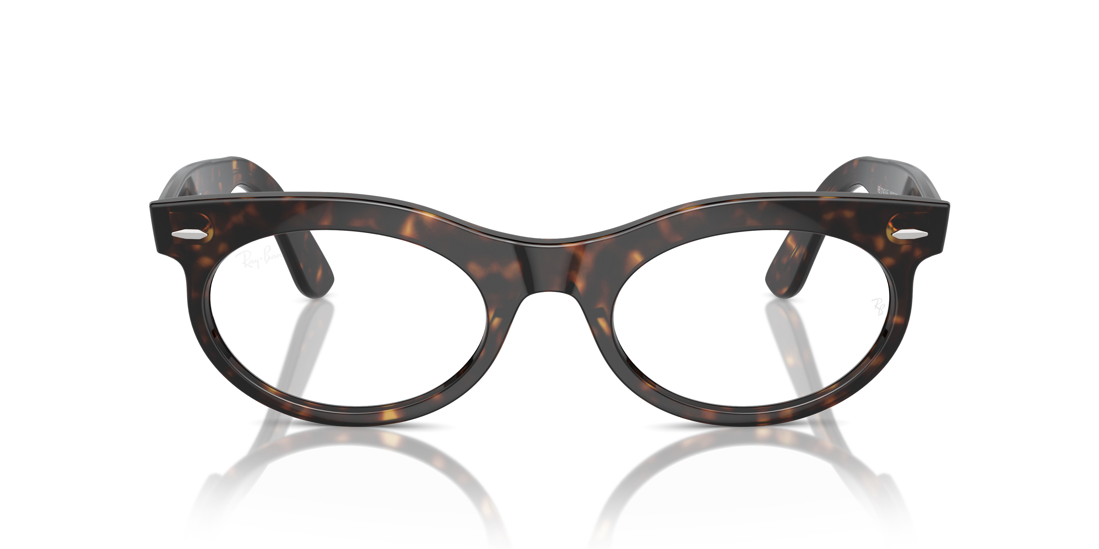 WAYFARER OVAL OPTICS - 4