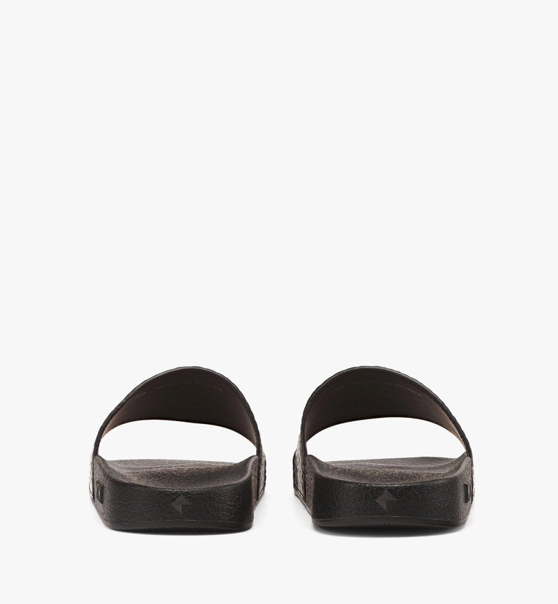 Checkerboard Visetos Slides 4