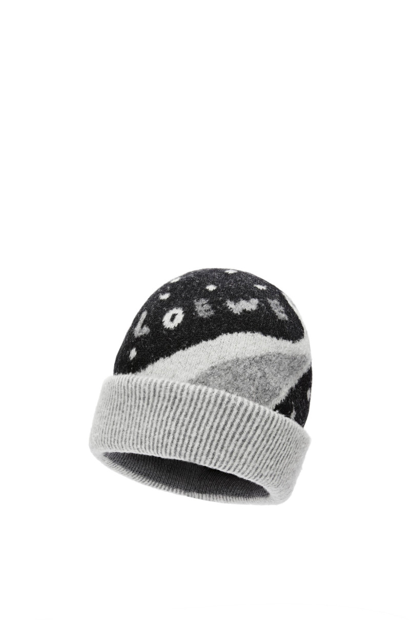 Loewe Whale beanie in wool outlook