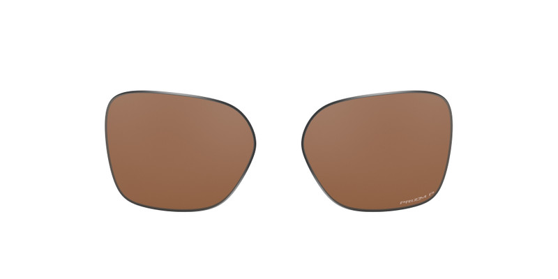 OAKLEY Wildrye Replacement Lens outlook