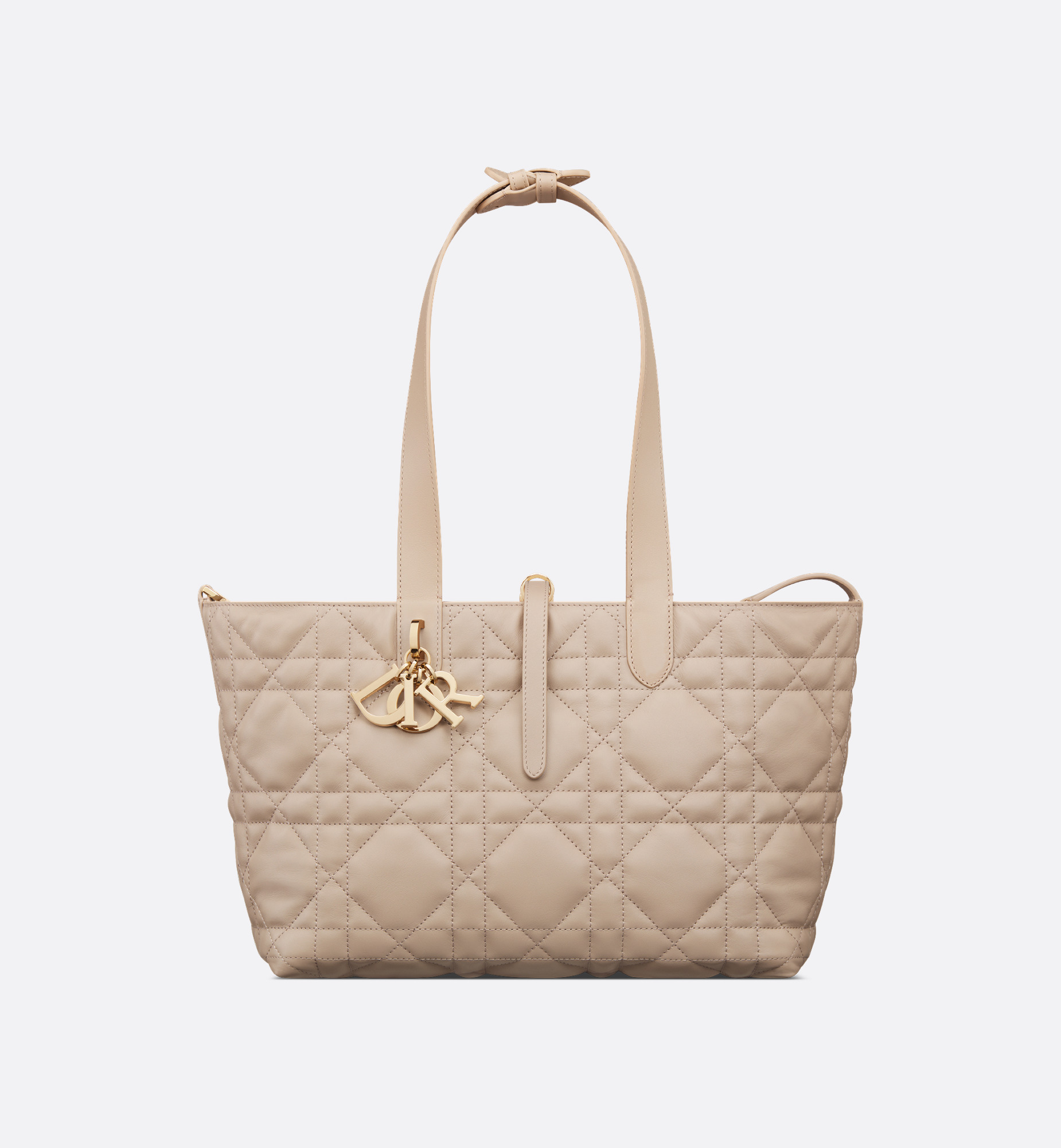 Medium Dior Toujours Bag - 5