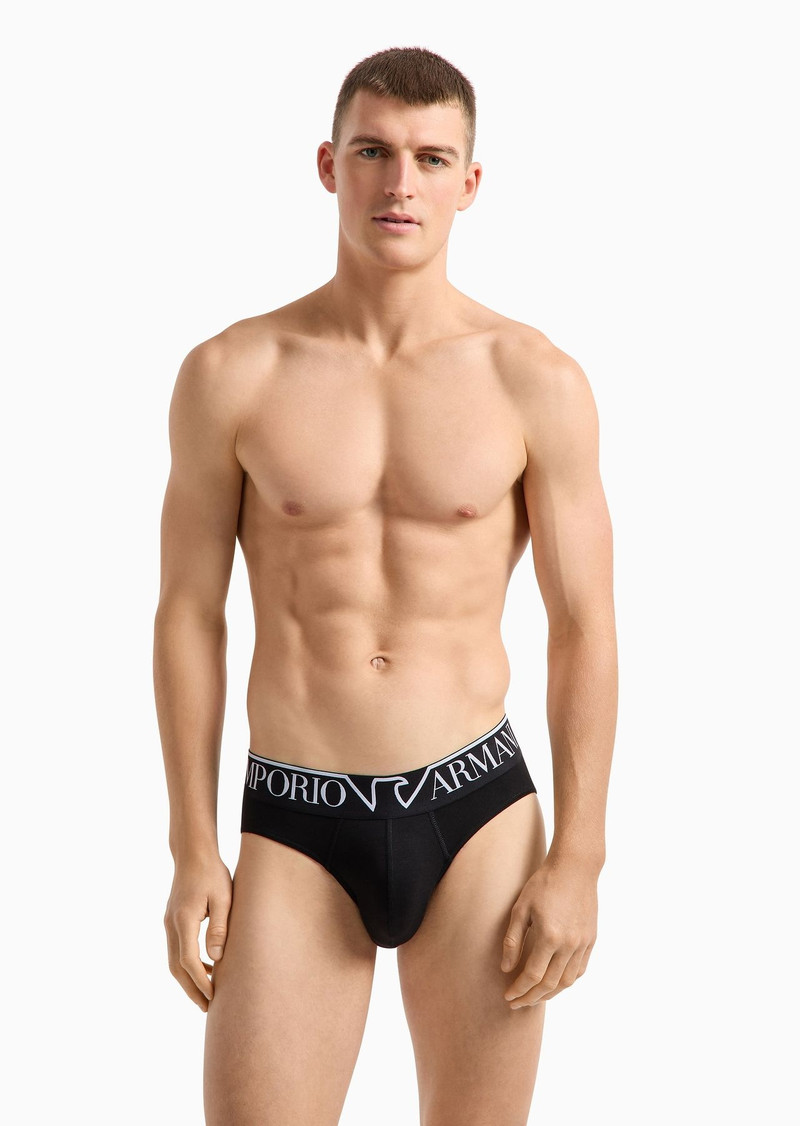 ASV Megalogo organic cotton briefs 2