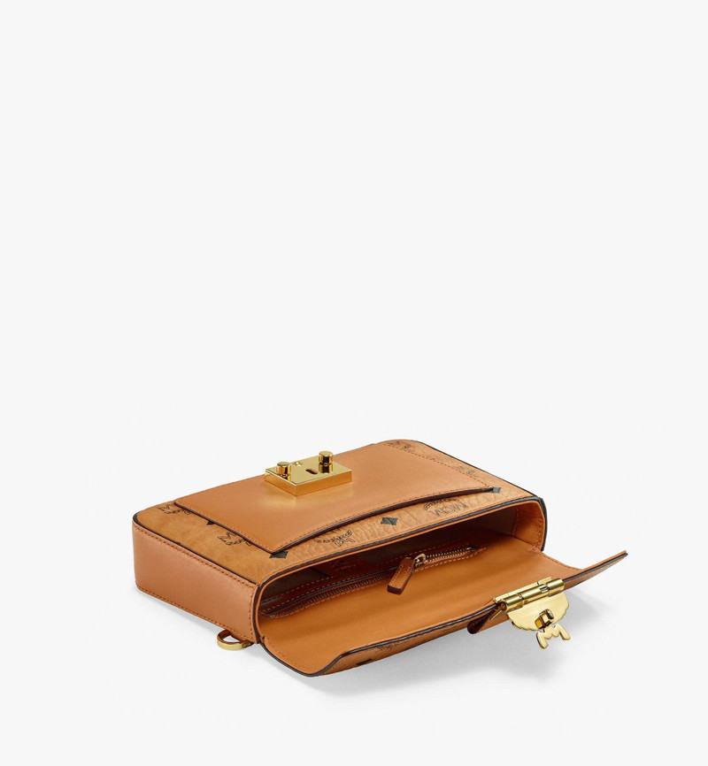 Viktor Crossbody in Visetos 4