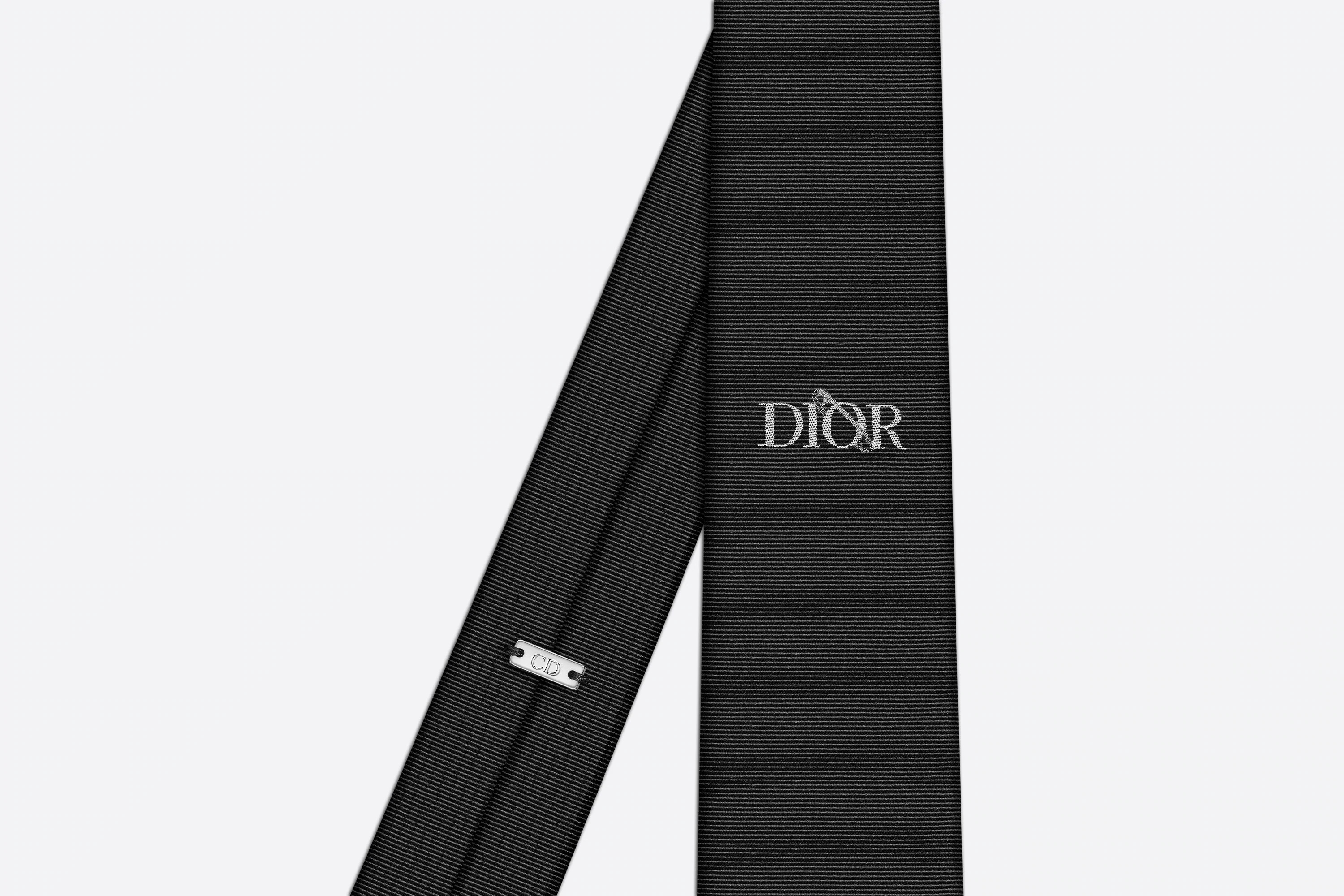 DIOR AND JUDY BLAME Tie - 2