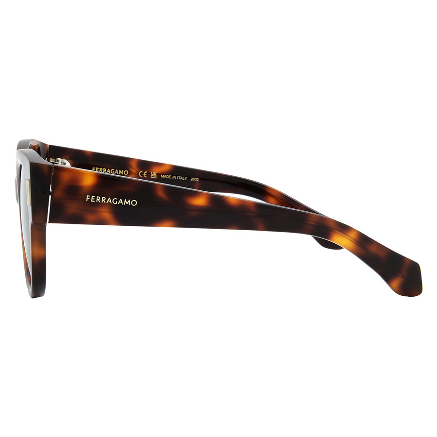 Ferragamo Brown Gradient Oval Ladies Sunglasses SF2007S 240 51 - 3