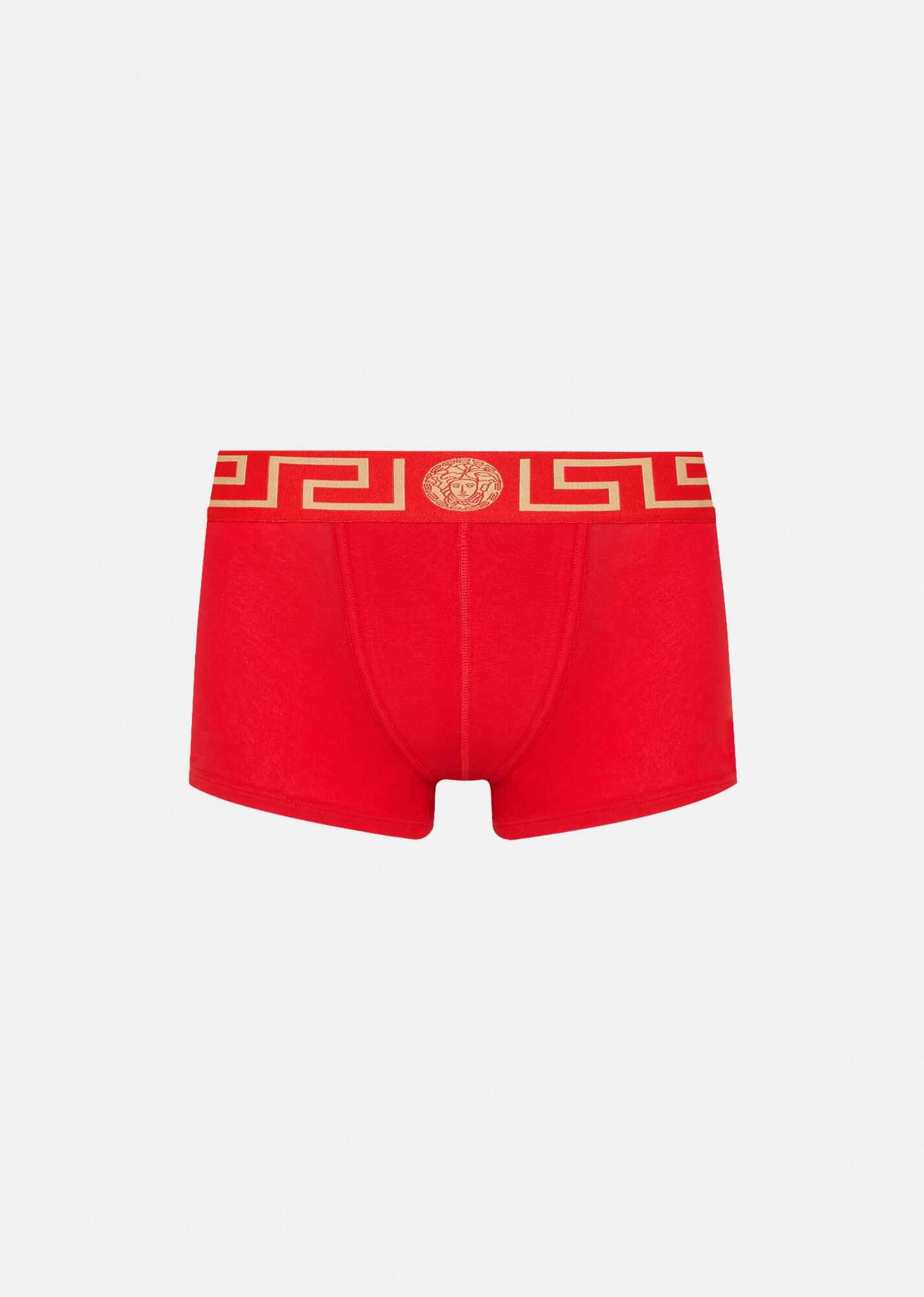 Greca Border Low Rise Trunks - 1