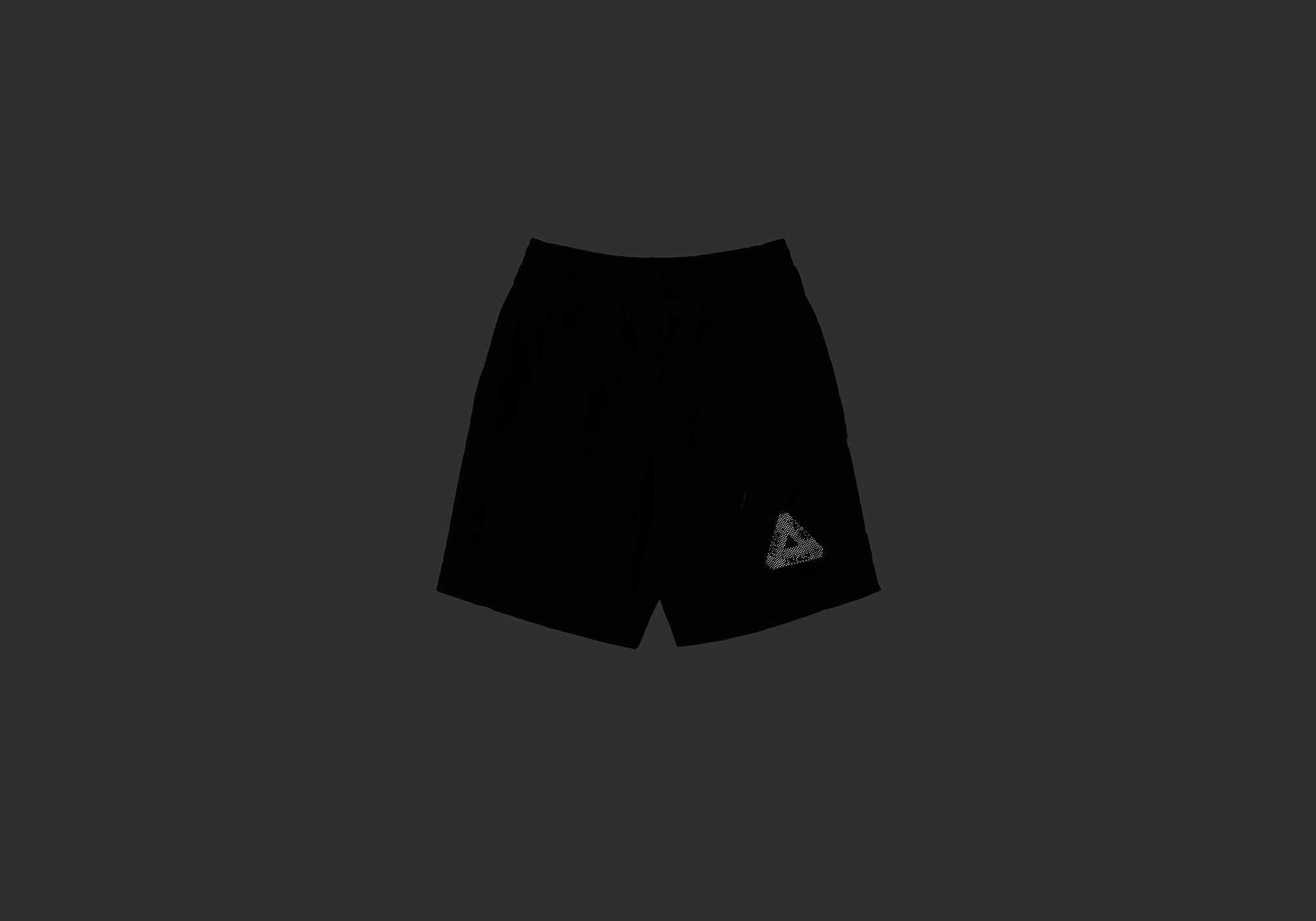 Y-RIPSTOP SHELL SHORT BLACK - 2