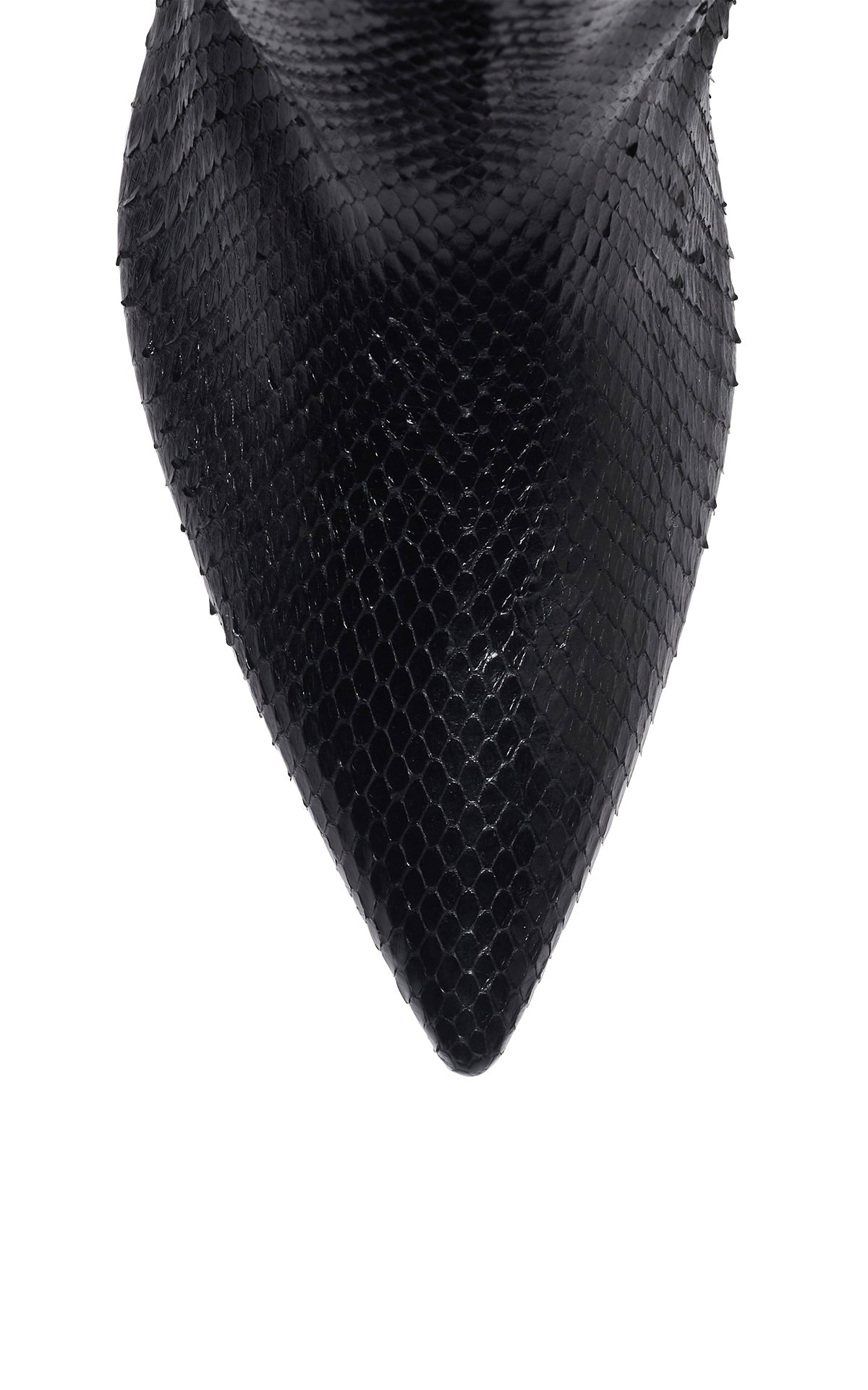Aura Tall Boot in Black Snakeskin - 5