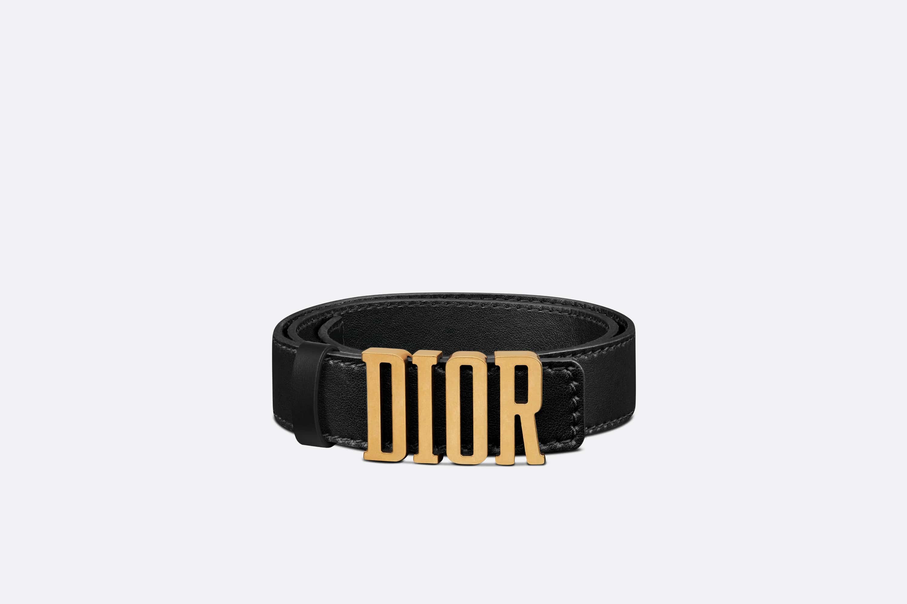 D-Fence Belt - 3