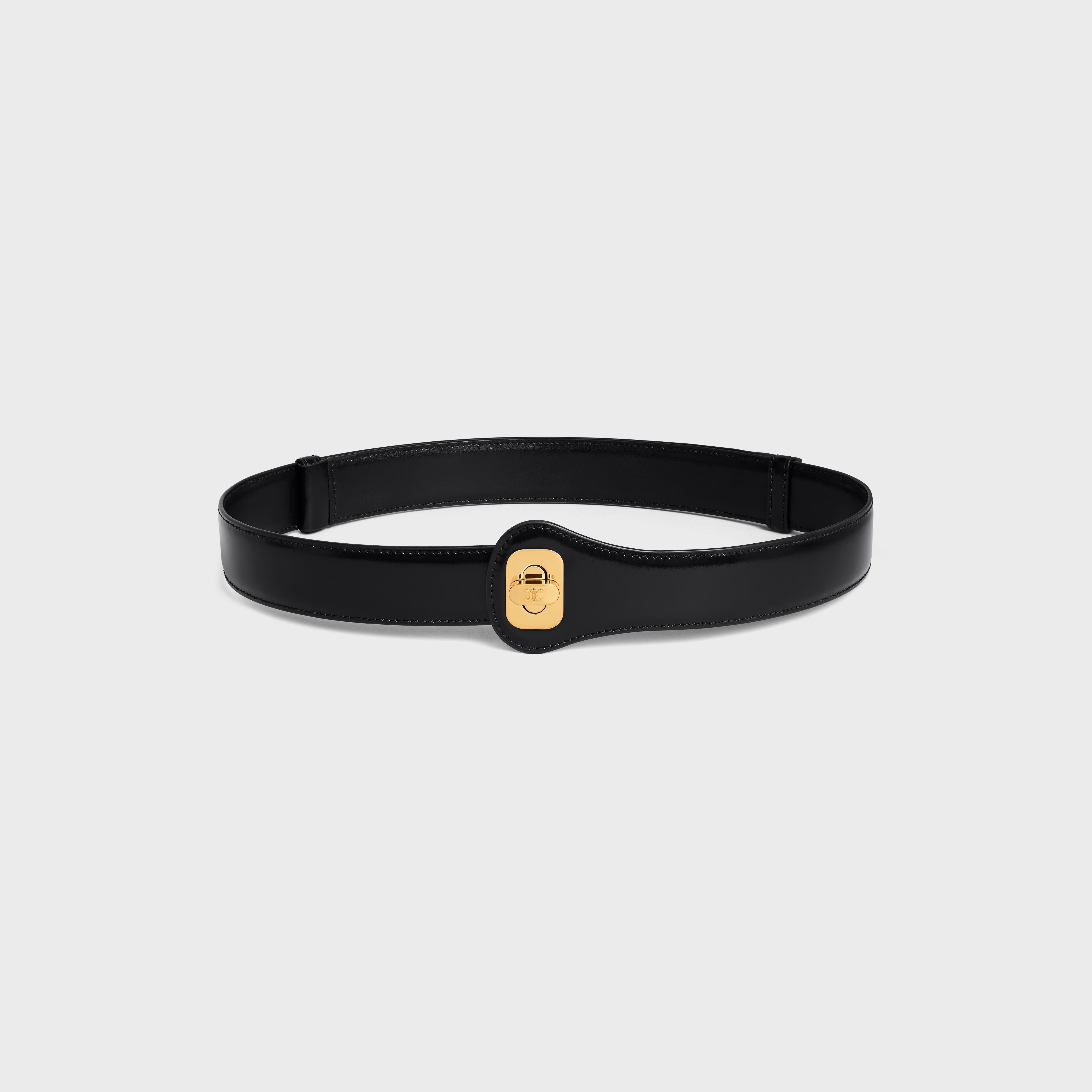 CELINE JOSEPHINE BELT LARGE MODEL IN Taurillon Leather - 3