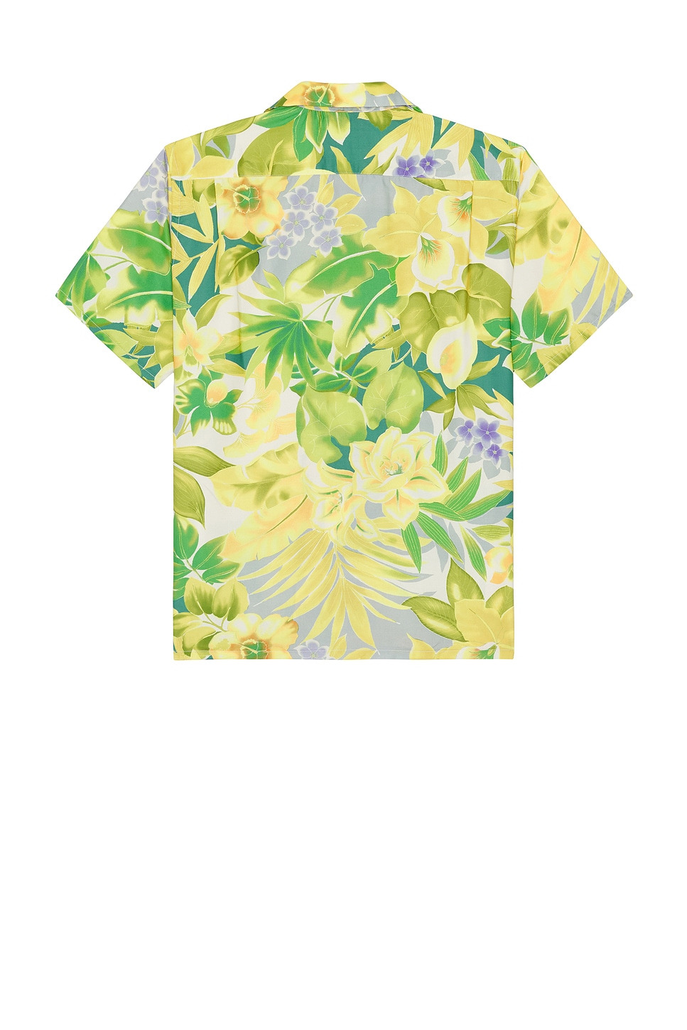 Open Collar Tropical Pattern Print - 2