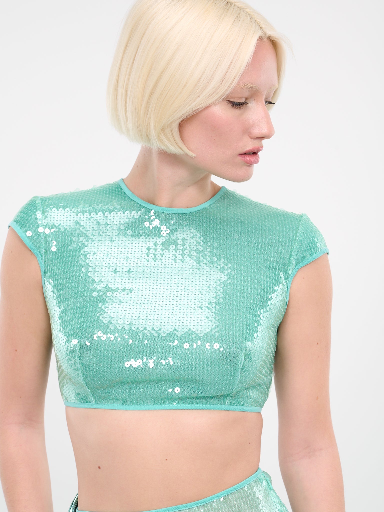 Sequin Crop Top - 4