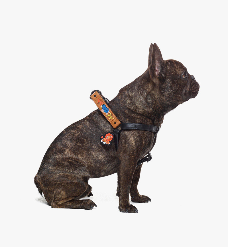 MCM Haru, Henry, Kaiser Pet Harness in Visetos outlook