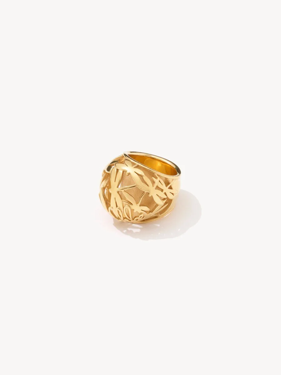 THE CHLOÉ GILDED CAGE RING - 1