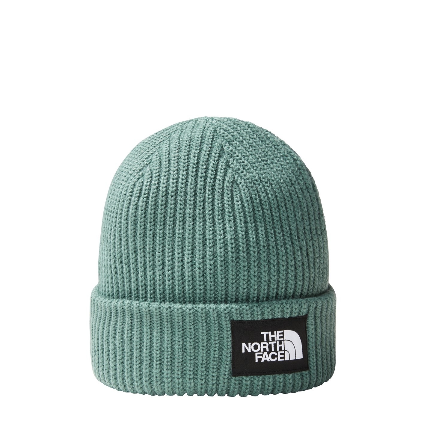 SALTY BEANIE - 1