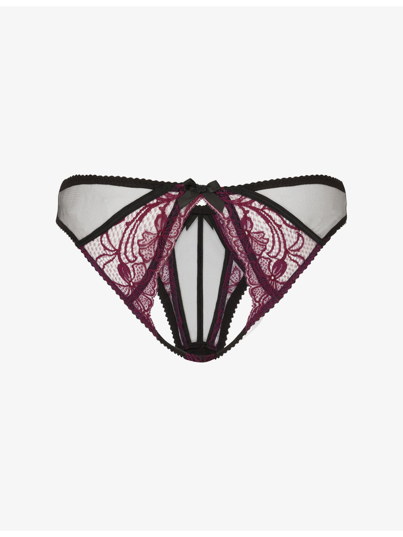 Rozlyn Ouvert Mesh and Lace Briefs 4