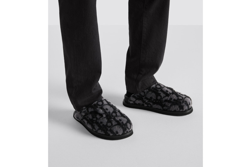 Dior Aqua Dior Mule outlook