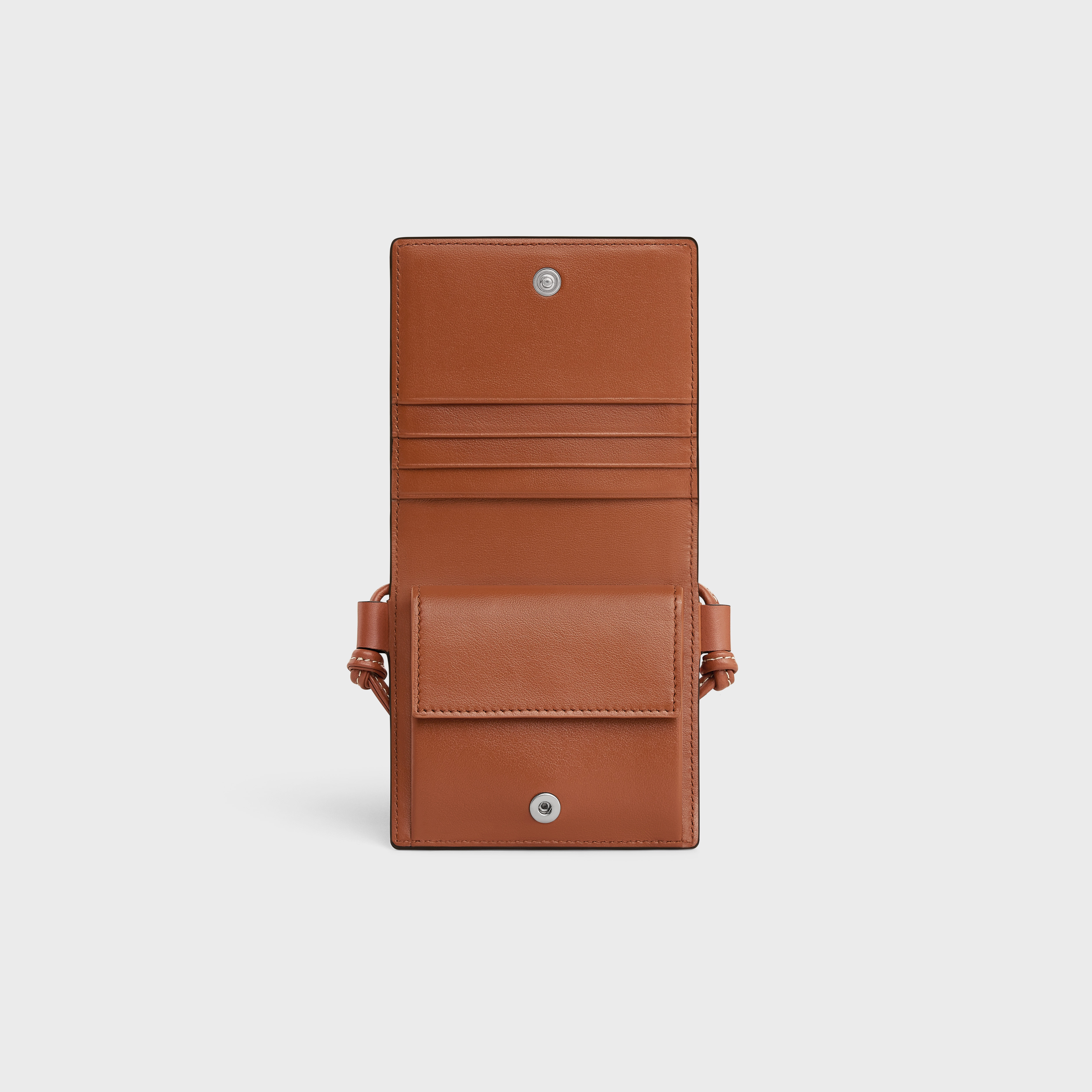 NEKCLACE WALLET in Triomphe Canvas and calfskin - 5