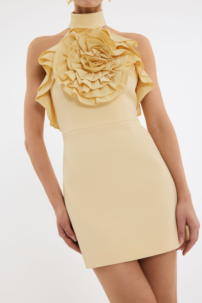 Aubriella Mini Dress 5
