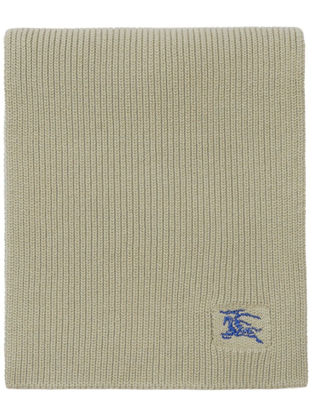 EKD-embroidered cashmere scarf - 1