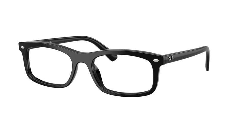 RB5450 OPTICS 3