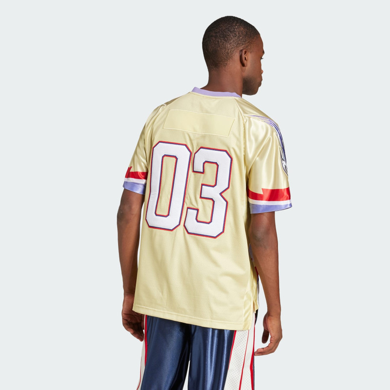 Adilenium Season 3 Team Jersey 3