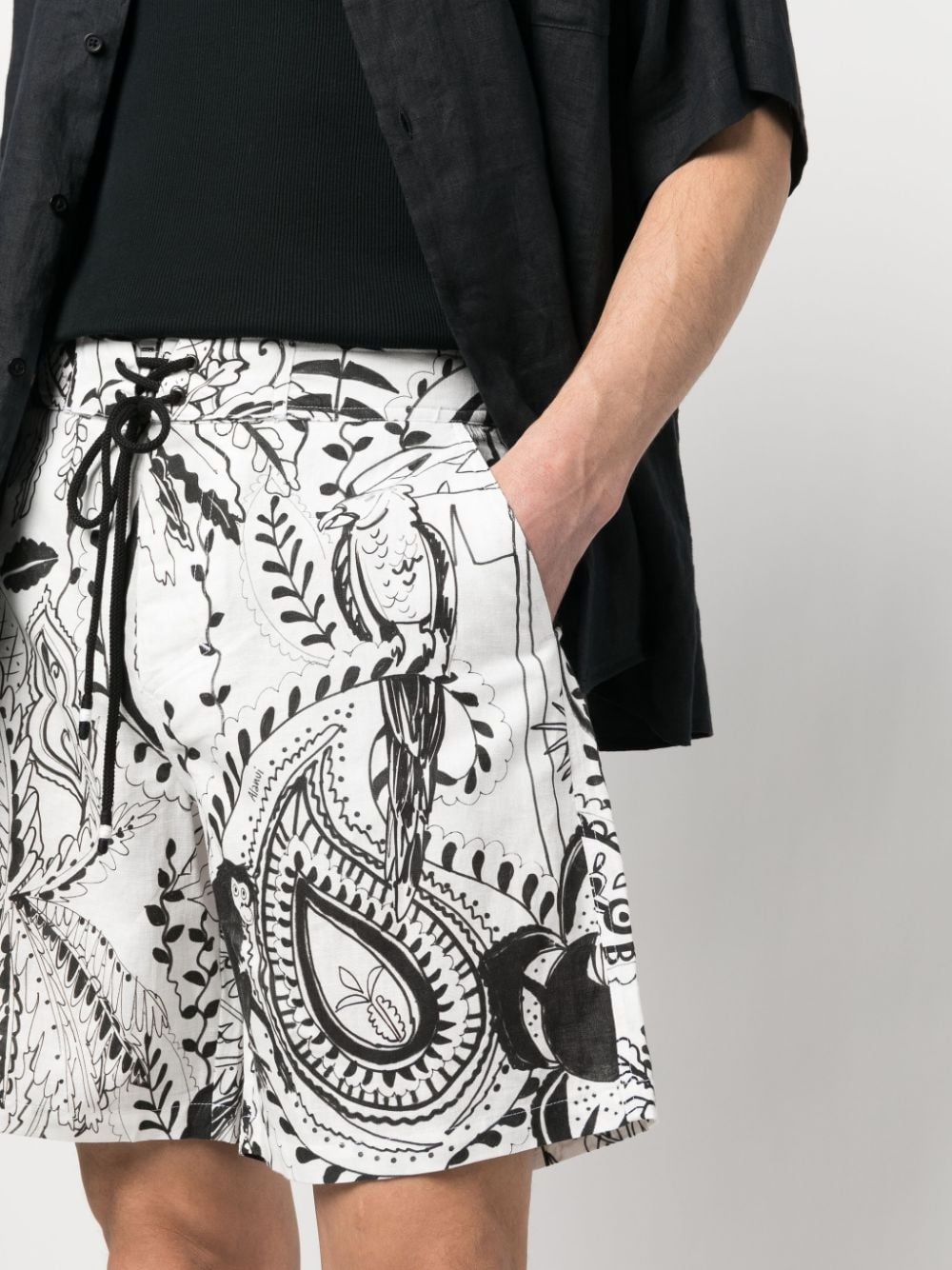 Oasis of Imagination deck shorts - 5