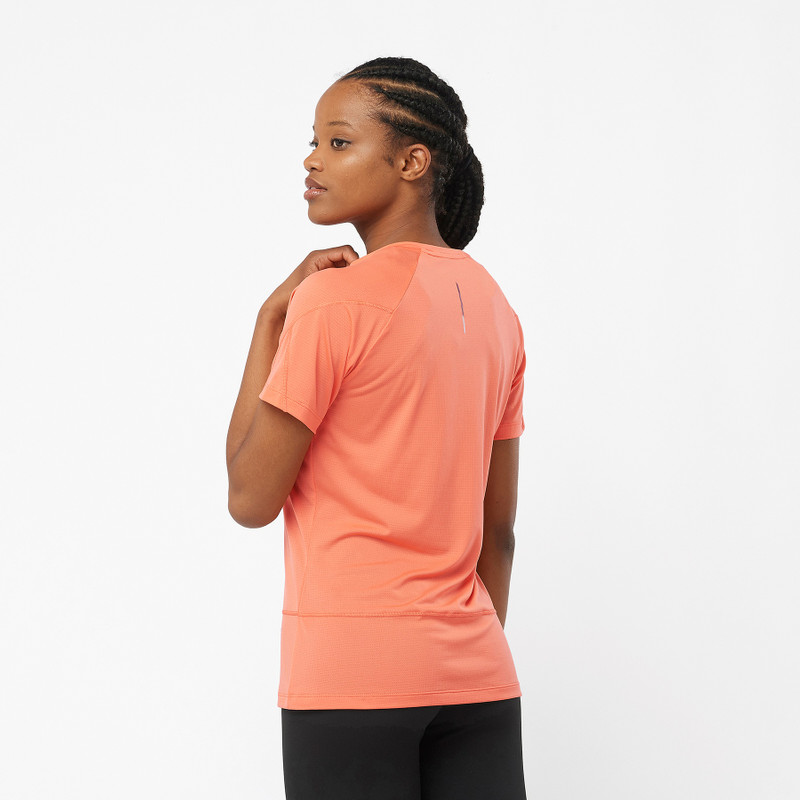 SALOMON CROSS RUN outlook