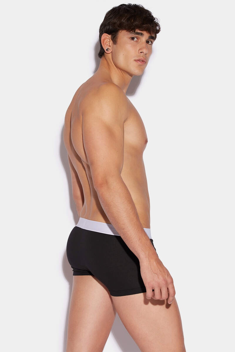 DSQ2 TRUNK - 2