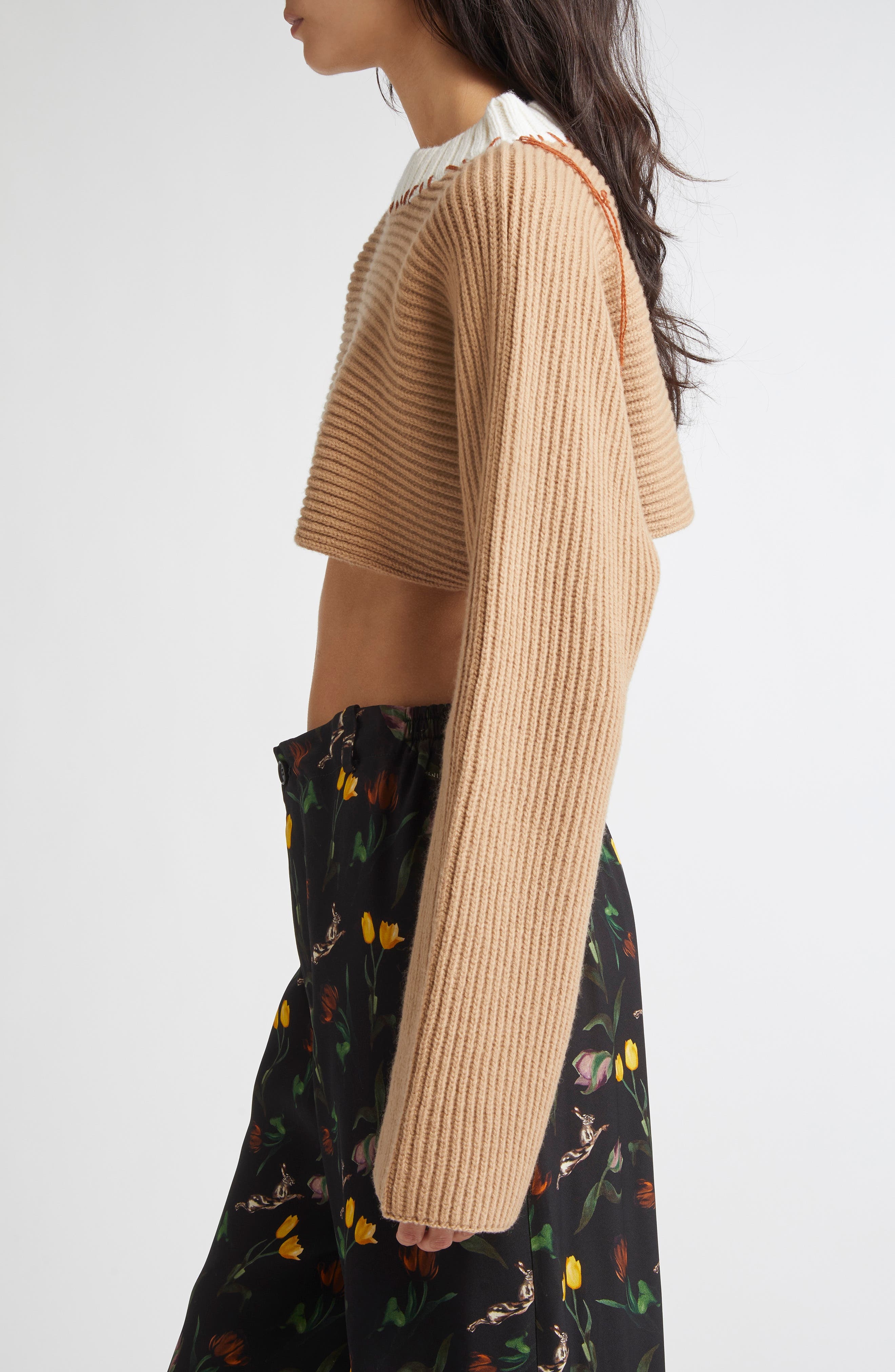 Marni Patchwork Crewneck Crop Sweater in Dune at Nordstrom - 4