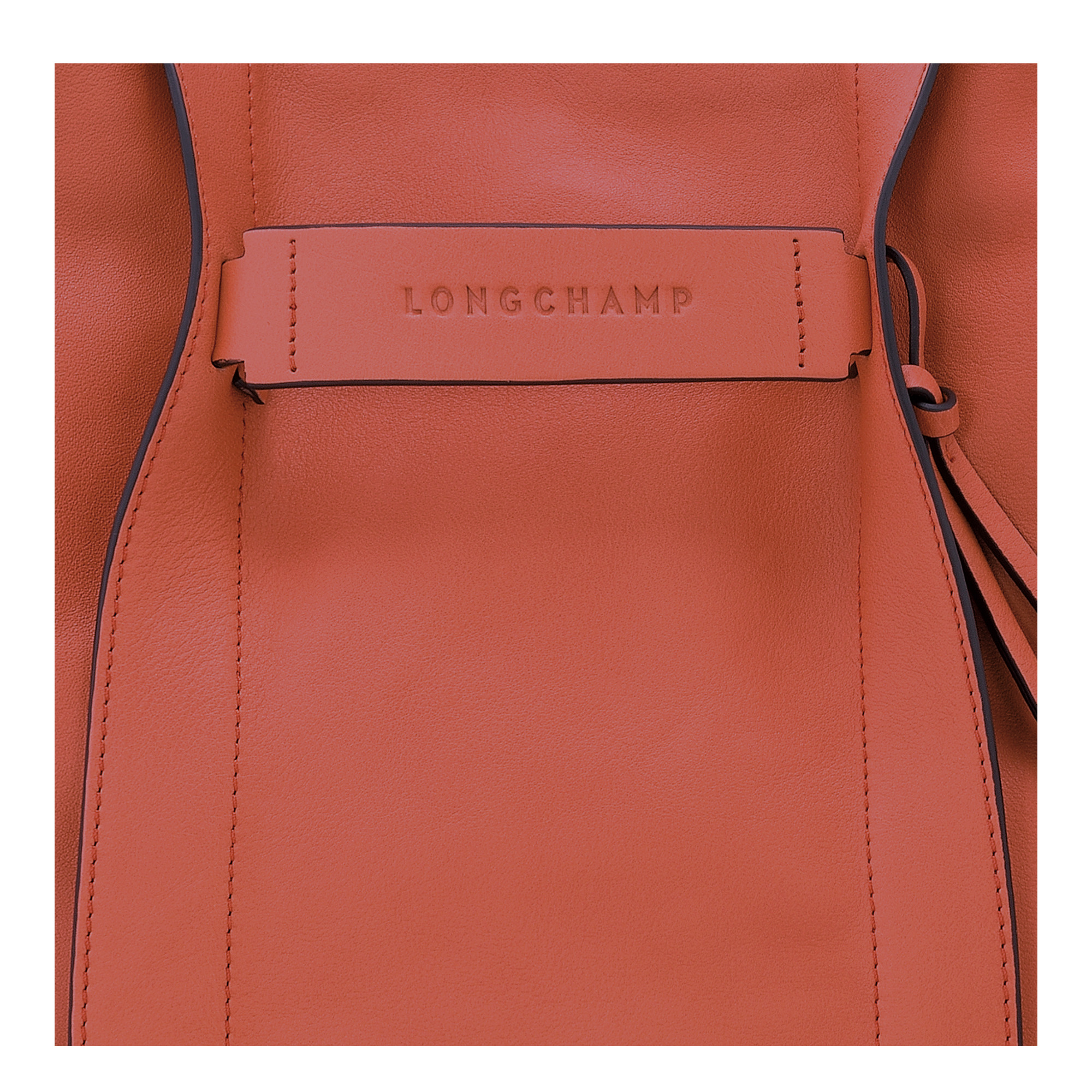 Longchamp 3D M Hobo bag Sienna - Leather - 3