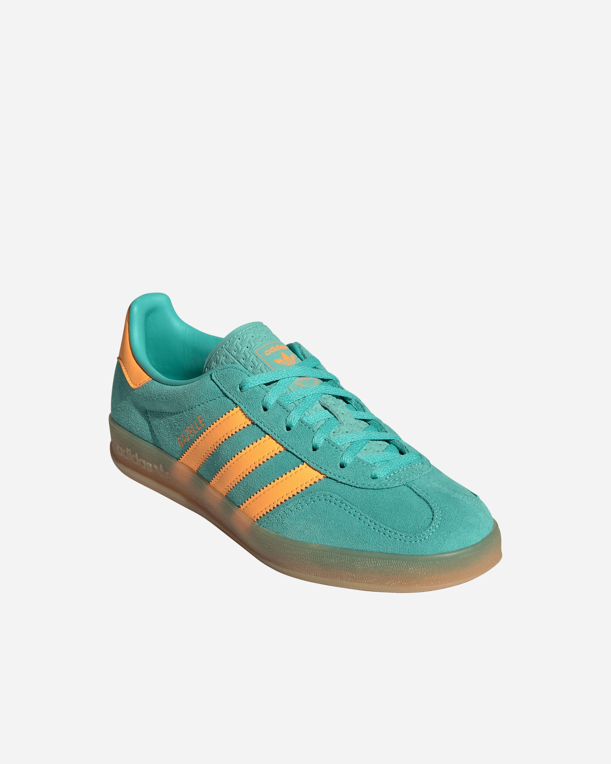 Gazelle Indoor - 2