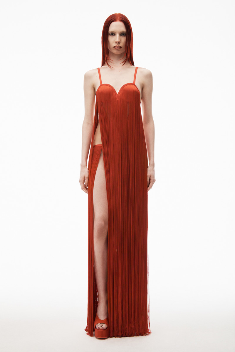 Alexander Wang fringe dress with heart shaped bodice outlook