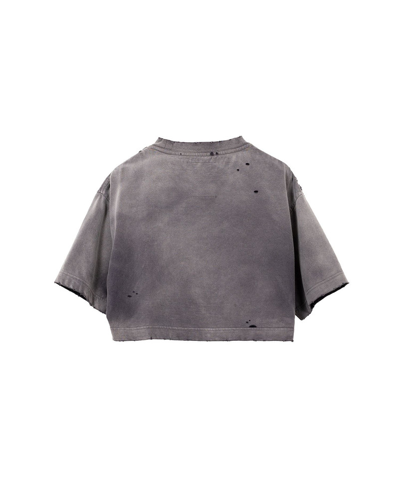 Sun Faded Like Crop T-shirt 20