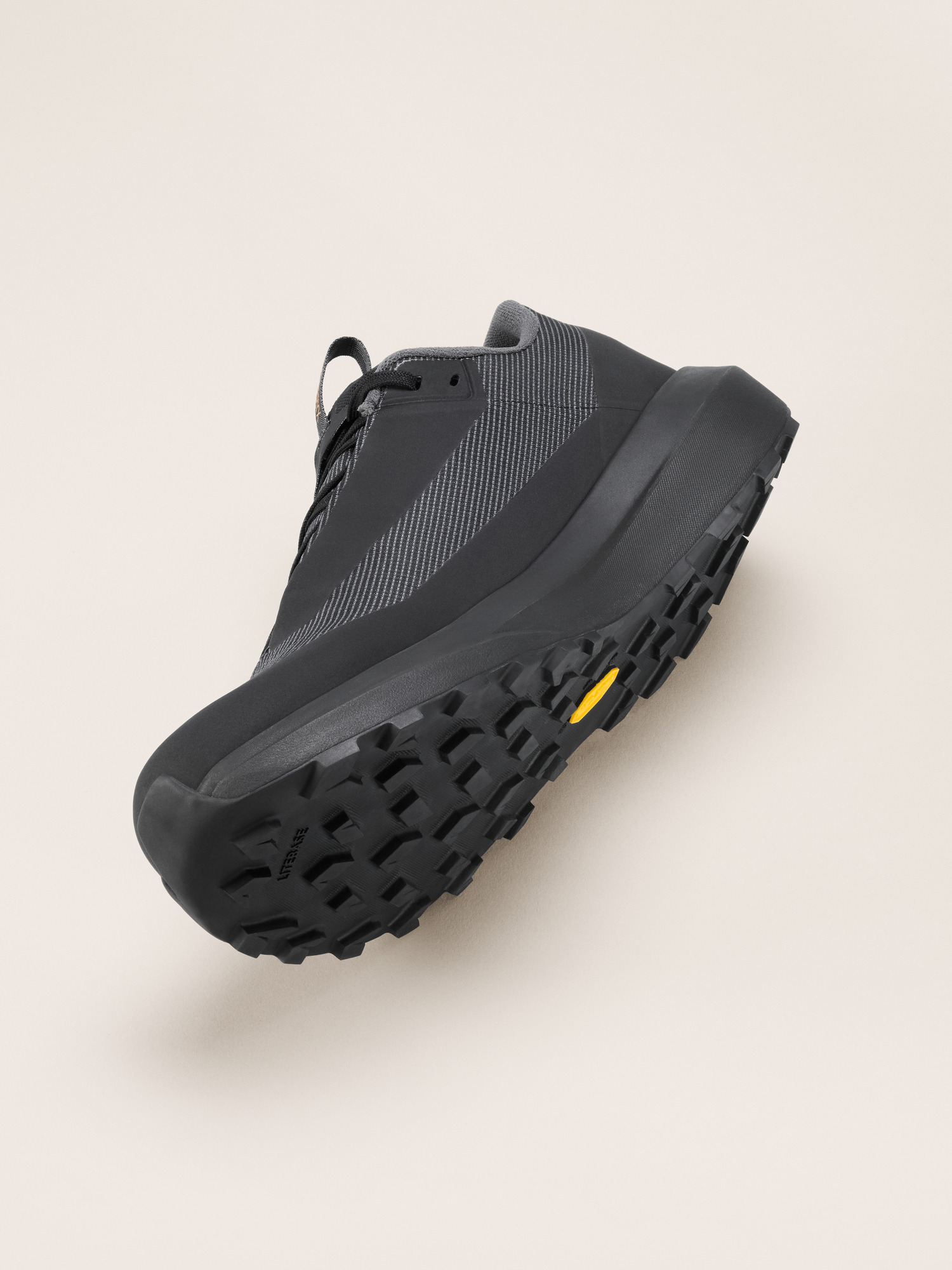 Norvan LD 4 GTX Shoe - 5