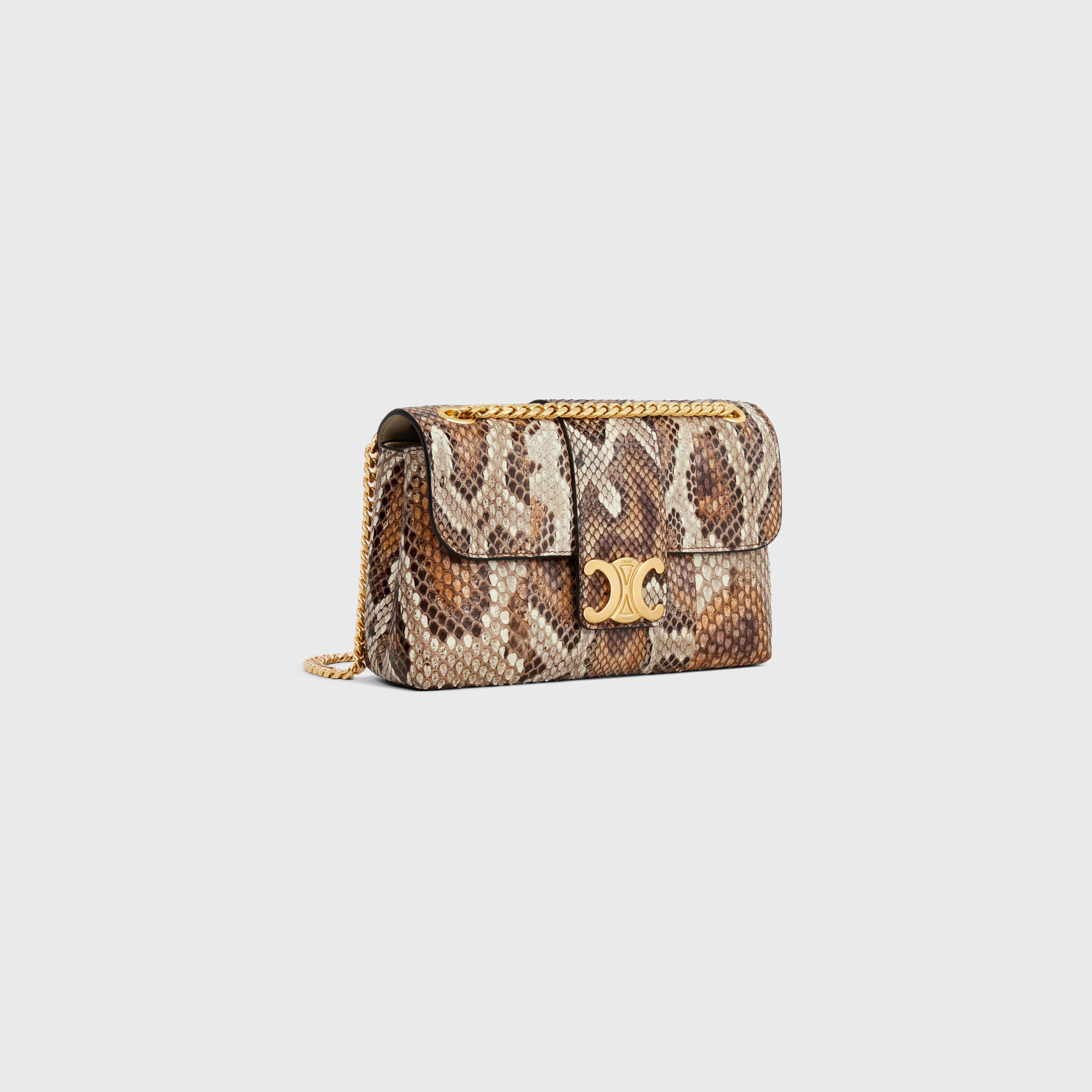 TEEN CELINE VICTOIRE BAG in PYTHON - 2
