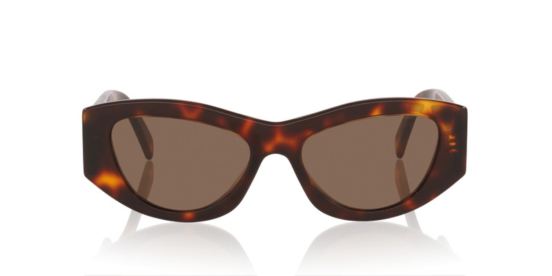 CELINE Triomphe CL40308U outlook